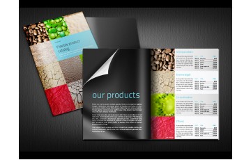 LÀM SAO THIẾT KẾ VÀ IN ẤN CATALOGUE MỘT CÁCH CHUYÊN NGHIỆP ??